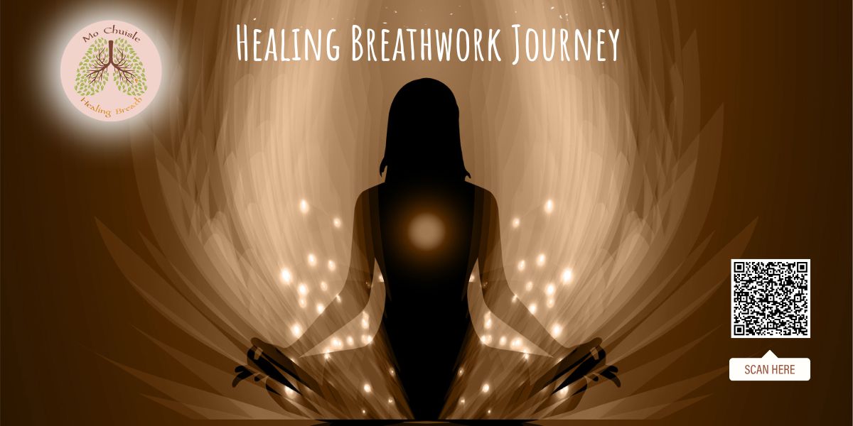 Ballymaloe insta 1200 x 600 px