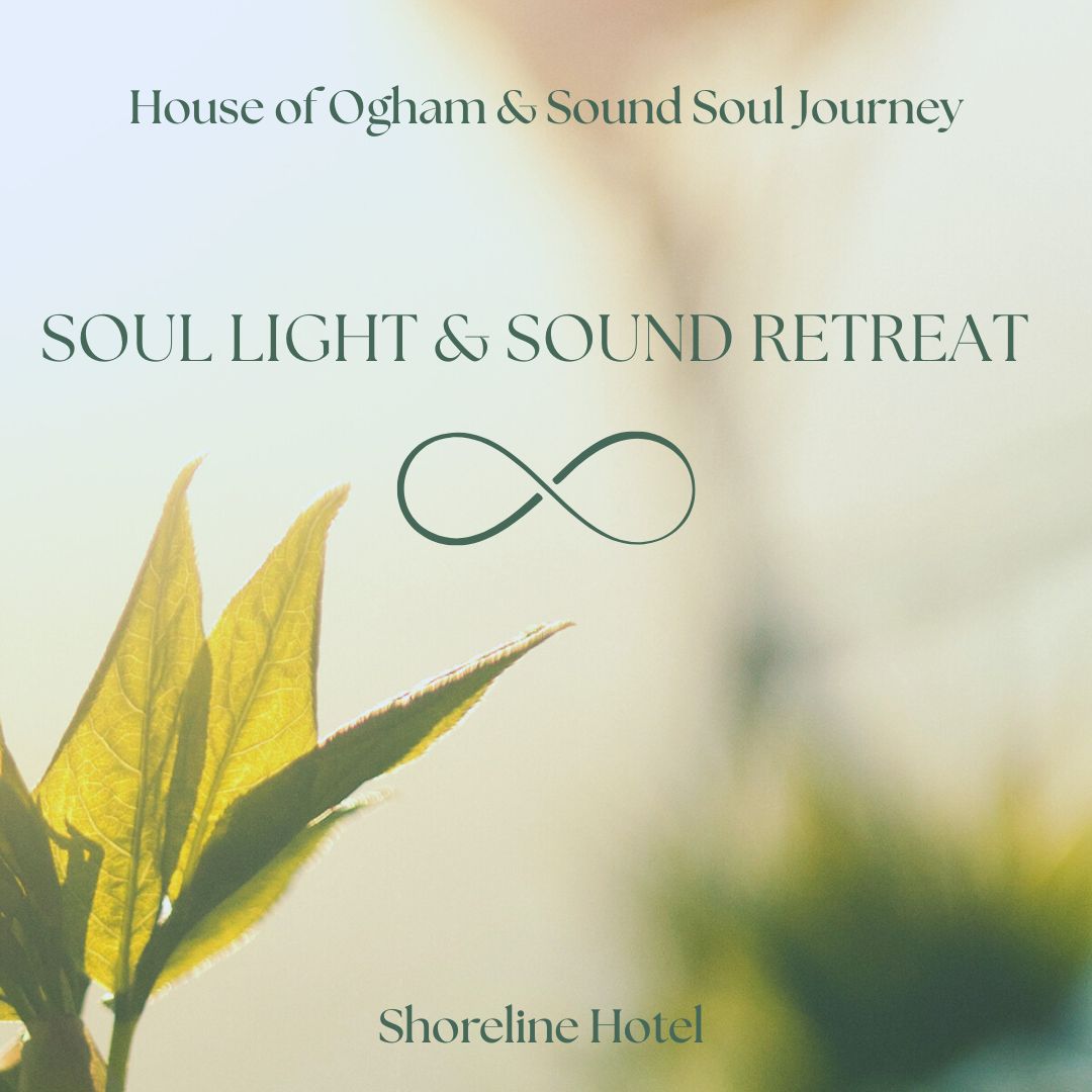 inbound1958947869517711211