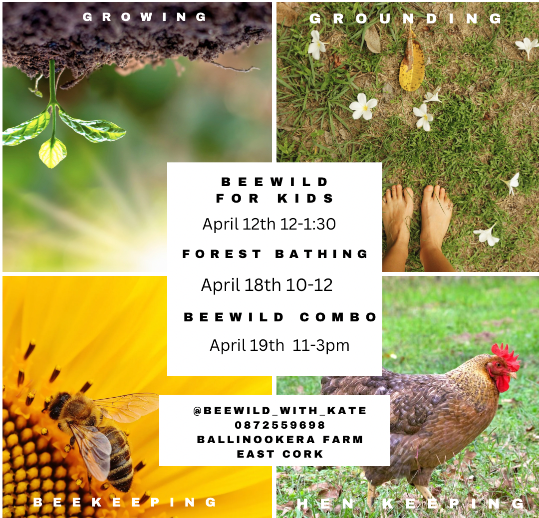 Minimal Square Photo Collage Photography Instagram Post