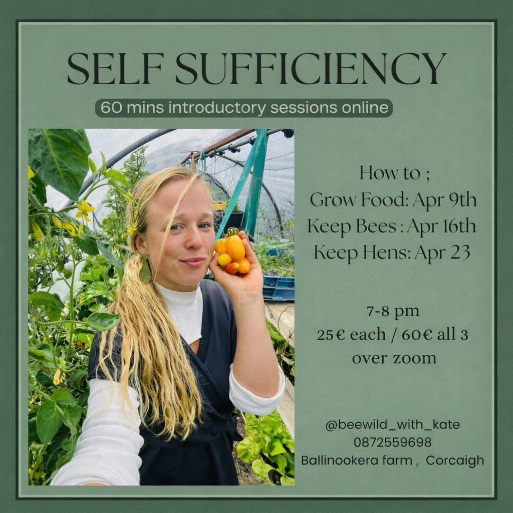 fb546b14 94fe 4301 8a27 3b6e26f2868a